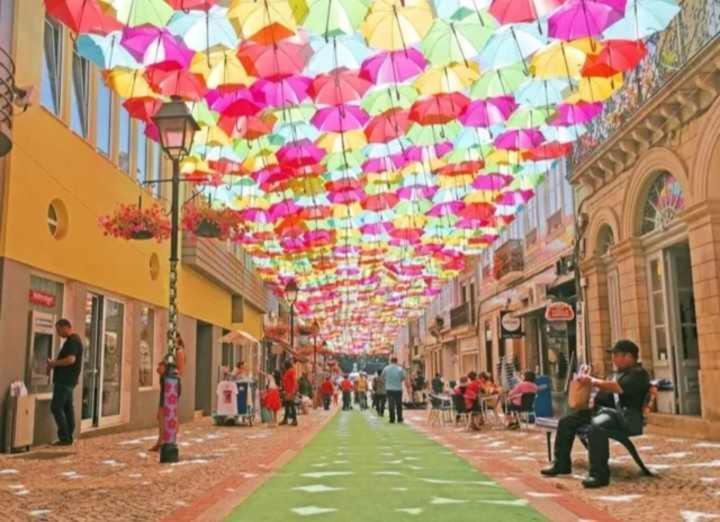 Currais O Pequeno Paraiso Entre O Mar E A Serra Aveiro Exteriér fotografie